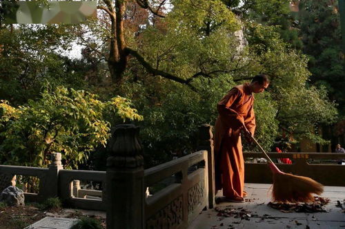 學(xué)處 你聽過達(dá)摩祖師開示的修行方法嗎 略辨大乘入道四行觀 細(xì)講 上